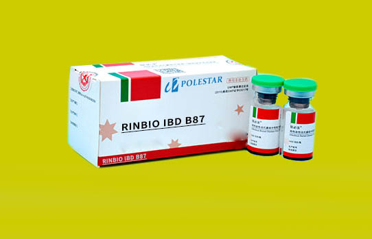 RINBIO IBD B87