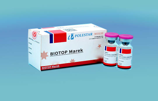 BIOTOP Marek
