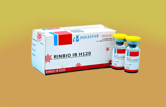 RINBIO IB H120
