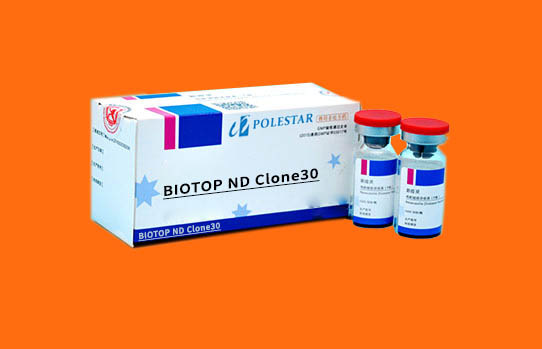 BIOTOP ND Clone30